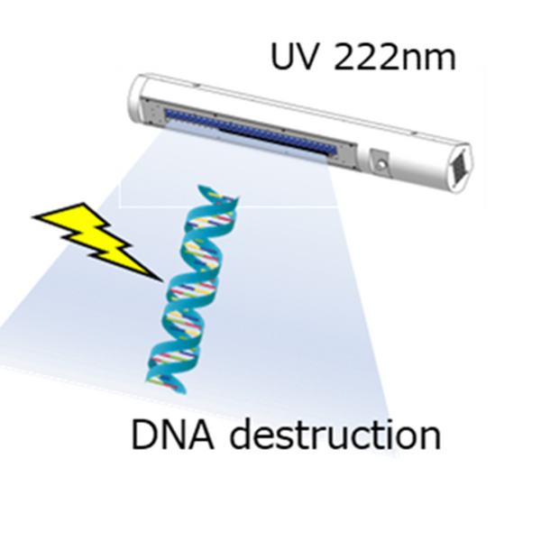 Biological safety of 222 nm lamp for sterilization